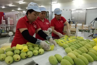 Việt Nam xuất siêu sang 5 thị trường trong khối CPTPP