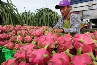 Hai Bộ trưởng chủ trì hội nghị bàn cách xuất khẩu nông, thủy sản sang Trung Quốc