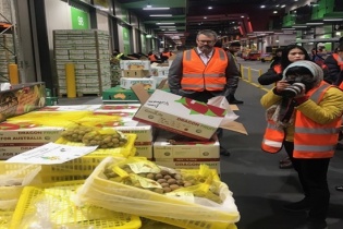 Lỗi đóng gói khiến quả nhãn Việt bị dừng thông quan vào Australia