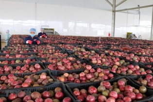 Xuất khẩu đã tiệm cận mục tiêu tăng trưởng năm 2019