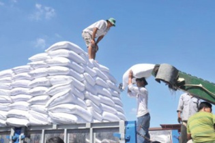 Năng lực cạnh tranh ngành mía đường có thể kéo dài ở mức thấp