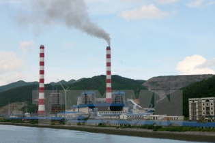 SCIC bán đấu giá 51,4 triệu cổ phiếu Nhiệt điện Quảng Ninh vào đầu tháng 12/2019