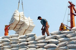 Doanh nghiệp thực hiện nghiêm quy định về dự trữ, lưu thông và bình ổn giá lúa gạo