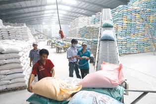 Bộ Công Thương nêu lý do đề xuất tiếp tục cho xuất khẩu gạo