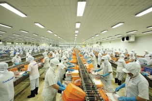 Doanh nghiệp Việt Nam xuất khẩu nông sản sang EU phải sử dụng chứng thư điện tử 