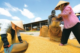 Bộ Công Thương đề xuất xuất khẩu 400.000 tấn gạo trong tháng 4/2020
