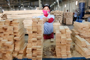 12 mặt hàng xuất khẩu có nguy cơ bị điều tra phòng vệ thương mại, chống lẩn tránh thuế 