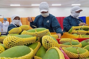 Xuất khẩu rau quả, cà phê, xơ sợi đã vượt 1 tỷ USD