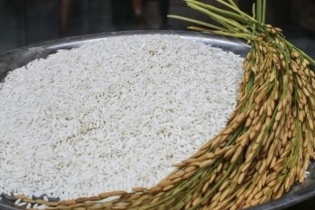 Bộ Công Thương trao đổi với Bộ Tài chính về phương án xuất khẩu gạo nếp
