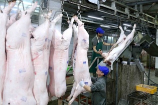 Thứ trưởng Bộ Công Thương: Doanh nghiệp, thương lái khó mua được lợn hơi với giá 70.000 đồng/kg của CP