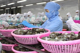 Hôm nay Quốc hội thảo luận việc phê chuẩn EVFTA