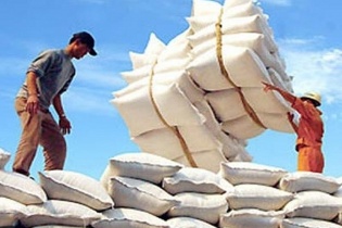 Việt Nam trúng thầu cung cấp 30.000 tấn gạo trắng cho Philippines