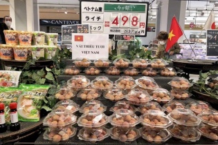 Hơn 5 năm đàm phán để vải thiều Việt Nam hiện diện trên đất Nhật