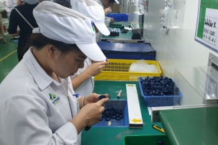 Đã có 22 mặt hàng xuất khẩu đạt kim ngạch trên 1 tỷ USD