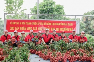 Doanh nghiệp Việt chủ động tìm kiếm đơn hàng xuất khẩu đi Mỹ 