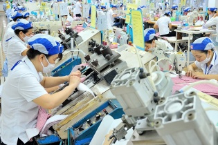 Chuyển đổi số trong xuất nhập khẩu, tận dụng cơ hội EVFTA