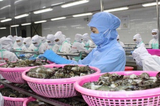 Việt Nam - EU bàn chuyện thực thi EVFTA