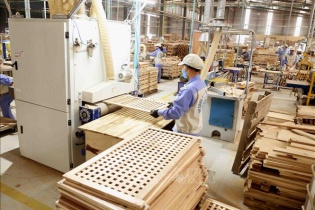 Từ 1/10/2020, triển khai nhiều dịch vụ công trực tuyến về xuất nhập khẩu