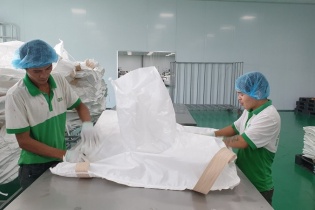 Kim ngạch xuất nhập khẩu hàng hóa cán mốc 413 tỷ USD