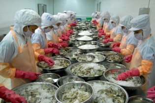 Thủy sản Minh Phú kháng cáo lệnh áp đặt thuế chống bán phá giá tôm của Mỹ