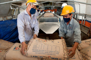 Vicem Hà Tiên 1: Doanh thu, lợi nhuận 9 tháng 2020 sụt giảm mạnh 