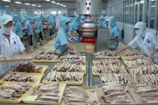 Tổng quan xuất nhập khẩu của Việt Nam với 14 thị trường RCEP 