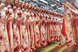 Việt Nam chi 300 triệu USD nhập khẩu thịt lợn ướp lạnh