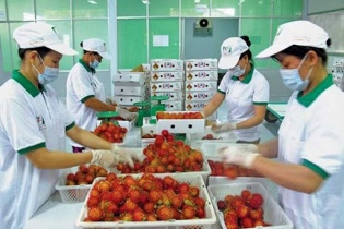 Xuất khẩu sang khu vực Á-Âu tăng trưởng gần 18%