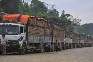 Doanh nghiệp phải chủ động điều tiết lượng hàng nông sản xuất sang Trung Quốc 