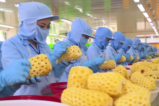 Xuất khẩu thực phẩm sang Hàn Quốc vẫn "dính" lỗi về an toàn thực phẩm