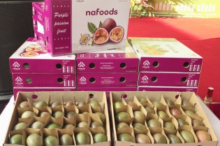 Năm 2020, xuất khẩu rau quả mang về 3,26 tỷ USD