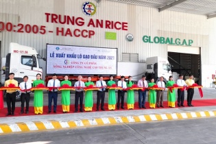 Trung An xuất khẩu 1.600 tấn gạo thơm sang Singapore và Malaysia