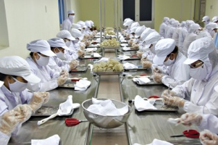 Đẩy nhanh tiến độ mở cửa thị trường cho nông sản Việt sang Trung Quốc