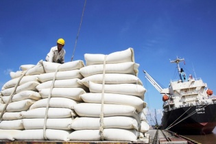 Gạo Việt thêm cơ hội xuất khẩu sang Philippines