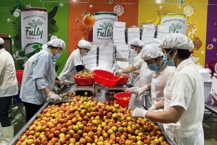 Xuất khẩu rau quả tăng trở lại, 5 tháng đạt 1,77 tỷ USD