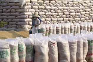Bộ Công Thương kiểm tra 5 doanh nghiệp xuất nhập khẩu gạo