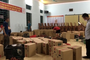 Hàng Việt vào EU qua thương mại điện tử phải khai báo hải quan, chịu thuế VAT