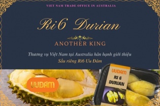 45 tấn sầu riêng Ri6 chưa cập cảng Australia đã được đặt mua hết
