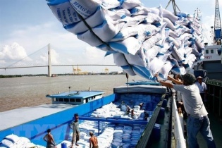 Sớm giải quyết tình trạng ùn tắc container xuất khẩu gạo