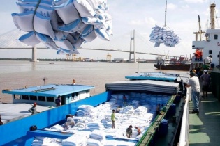 Giá gạo xuất khẩu của Việt Nam sụt giảm mạnh