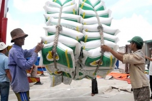 Xuất khẩu gạo thêm khó do cảng Tân Cảng Hiệp Phước tạm ngừng dịch vụ đóng rút gạo