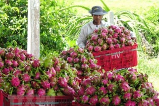 Doanh nghiệp Nga tăng nhập khẩu nông thủy sản từ Việt Nam