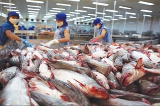 10 doanh nghiệp xuất khẩu cá tra, basa không bị áp thuế chống bán phá giá tại Mỹ