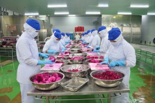 Việt Nam xuất siêu 15 tỷ USD sang thị trường EU