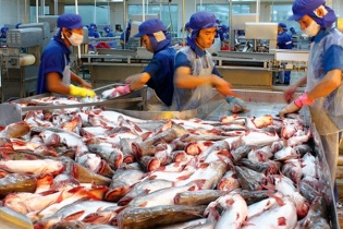 Gần 70% thủy sản sang EU được ưu đãi thuế quan theo EVFTA
