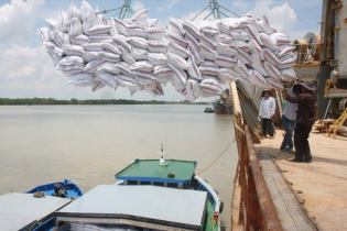 Xuất khẩu gạo sôi động trở lại