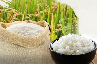 Doanh nghiệp nông thủy sản xuất khẩu sang EU lưu ý dư lượng hóa chất vượt ngưỡng 