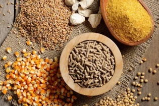 Giá tăng cao, nhập thức ăn gia súc và nguyên liệu sớm vượt 4 tỷ USD