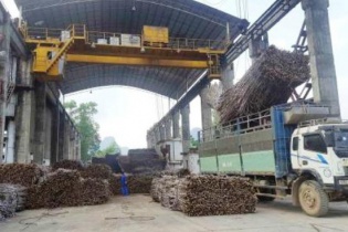 Chỉ còn 24 nhà máy đường đang hoạt động