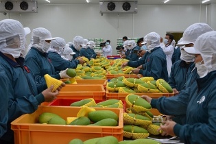 Việt Nam đã có 11 nhóm hàng xuất khẩu trên một tỷ USD sang Trung Quốc